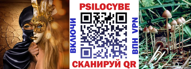 продажа наркотиков  Сланцы  Псилоцибиновые грибы ЛСД 